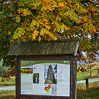 2025-09-25 12-21-25 113055000543