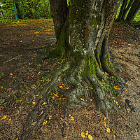 2025-09-25 12-38-57 113055000543