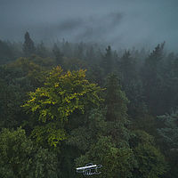 2025-09-25 12-41-06 113055000543