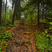 2025-09-25 12-49-30 113055000543