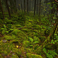 2025-09-25 12-50-00 113055000543