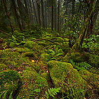 2025-09-25 12-50-20 113055000543