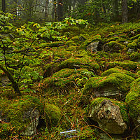 2025-09-25 12-50-36 113055000543