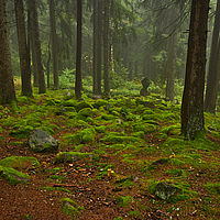 2025-09-25 12-51-04 113055000543