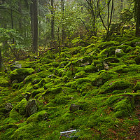 2025-09-25 12-51-27 113055000543