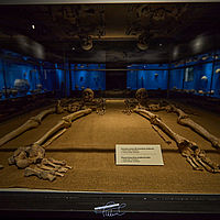 2025-09-13 09-42-57 113055000543