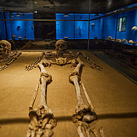 2025-09-13 09-43-22 113055000543