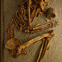 2025-09-13 09-46-31 113055000543