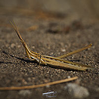 2025-09-13 10-24-29 113055000543