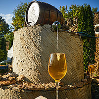 2025-09-14 09-11-19 113055000543