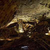 2025-09-17 10-33-04 113055000543