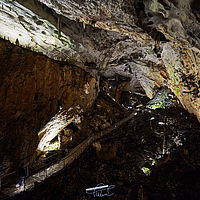 2025-09-17 10-46-05 113055000543