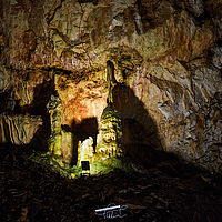 2025-09-17 10-50-25 113055000543