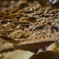 2025-09-17 10-55-24 113055000543