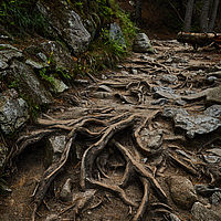 2025-09-05 15-48-00 113055000543