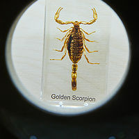 2025-09-06 10-29-07 113055000543