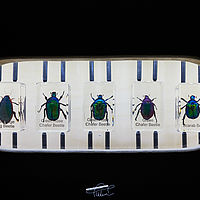 2025-09-06 10-29-25 113055000543