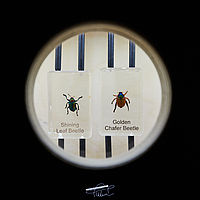 2025-09-06 10-29-59 113055000543