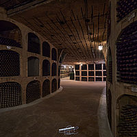 2025-09-14 10-17-35 113055000543