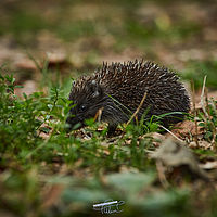 2025-09-18 16-34-32 113055000543