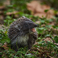 2025-09-18 16-44-26 113055000543 1