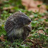 2025-09-18 16-44-26 113055000543 4