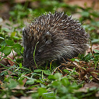 2025-09-18 16-44-38 113055000543