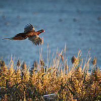 2025-09-21 07-14-12 113055000543 1