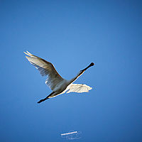 2025-09-21 07-45-20 113055000543