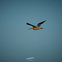 2025-09-21 08-03-00 113055000543