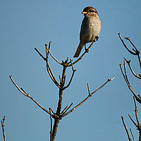 2025-09-21 08-13-09 113055000543 1