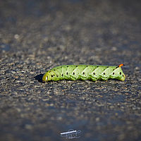 2025-09-21 08-30-03 113055000543