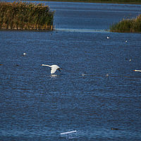 2025-09-21 08-53-01 113055000543 1