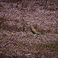 2025-09-21 12-13-41 113055000543