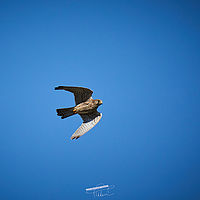 2025-09-21 14-27-16 113055000543