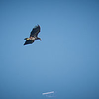 2025-09-21 15-15-41 113055000543