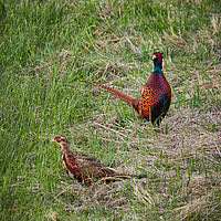 2025-09-22 06-32-56 113055000543 1