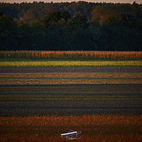 2025-09-22 06-52-37 113055000543