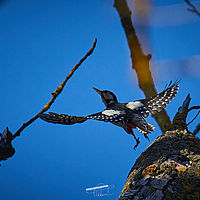 2025-09-22 09-45-58 113055000543