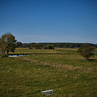 2025-09-22 10-12-01 113055000543