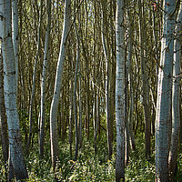 2025-09-22 10-52-44 113055000543