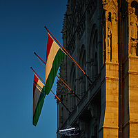 2025-09-19 06-58-22 113055000543