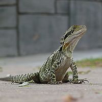 Sc 2008-10-13 12-56-21