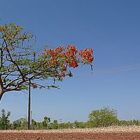 Sc 2008-10-30 10-04-44