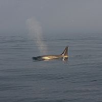 Sc 2009-02-27 08-08-35