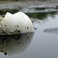 Sc 2009-03-14 11-49-41
