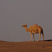 Sc 2010 18-09 17-17-16
