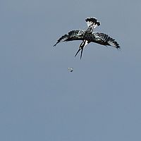 Sc 2012-05-06 12-04-11