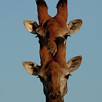 Sc 2012-05-08 16-26-42
