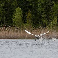 Abflug 59cm42cm